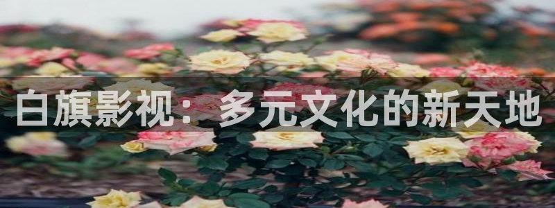 九九在线观看视频在线