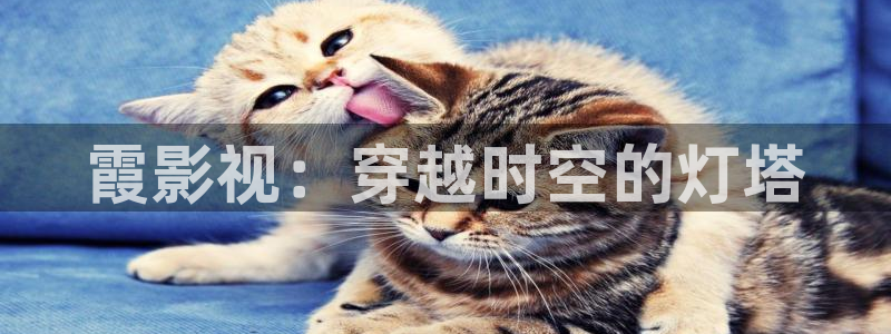 九九电视剧免费观看完整版