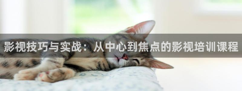 九九视频这里只有精品1
