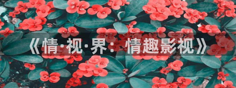 九九热视频在线视频