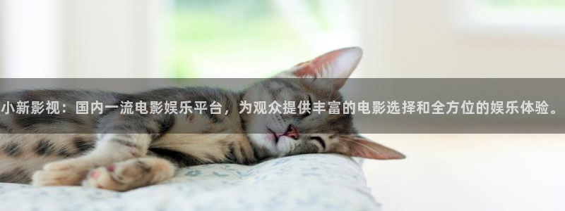 九九在线视频在线视频