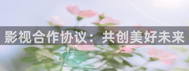 九九视频区