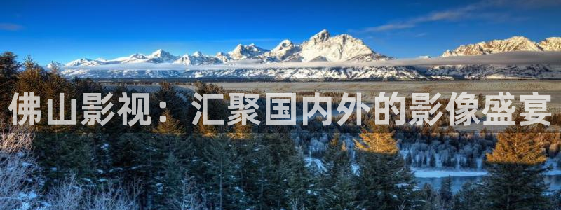 久久九九久久精品视频