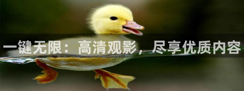 神马九九影院