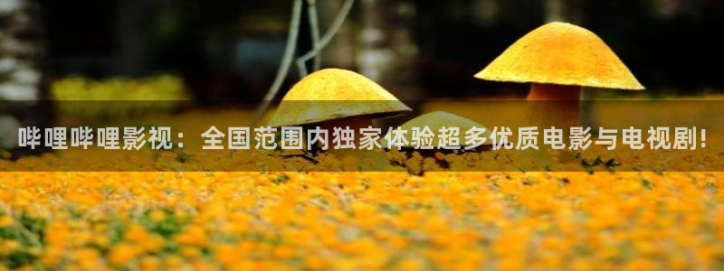 九九视频在线观看免费的